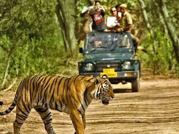 Rajasthan Wildlife Tour